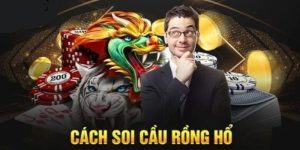 Khái quát về trò chơi rồng hổ