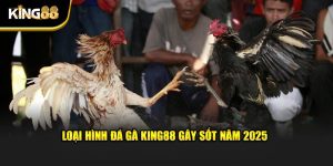 Đá gà King88