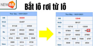 Các chiến thuật lô rơi tại New 88 bạn nên biết