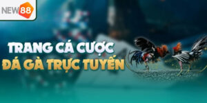 Chiến thuật chơi đá gà New88 giúp tăng tỷ lệ thắng cược