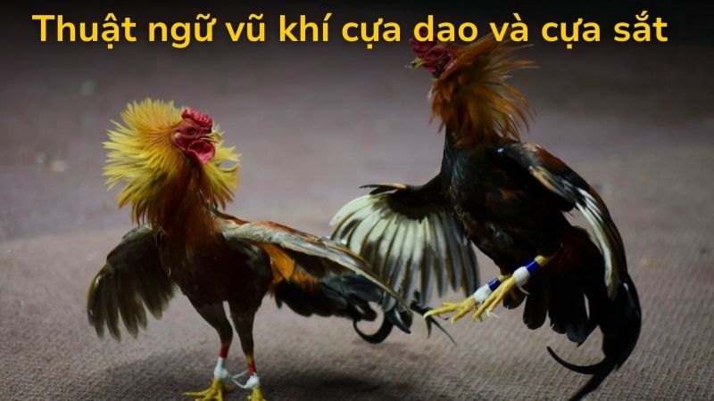 Đặc điểm vũ khí quyết định tốc độ và độ kịch tính của trận.